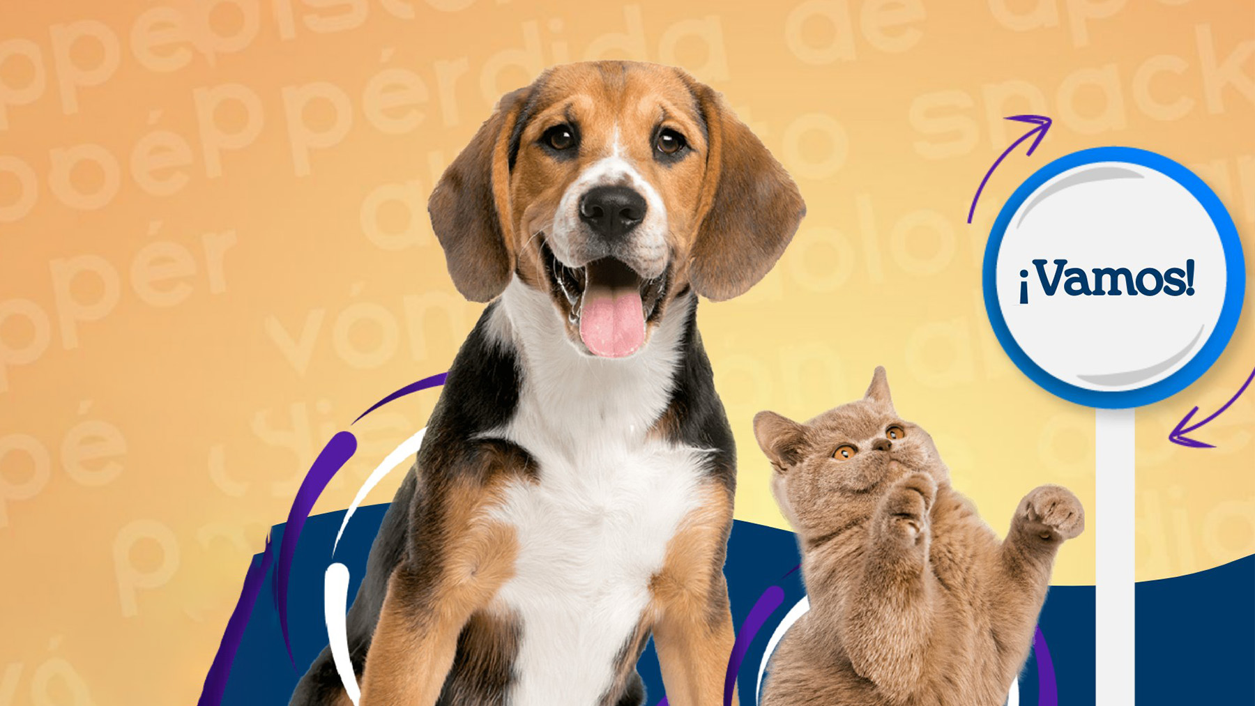 Gabrica | Disfrazar mi mascota en halloween